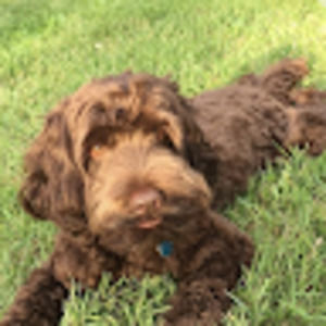 Meet your Posher, Julia